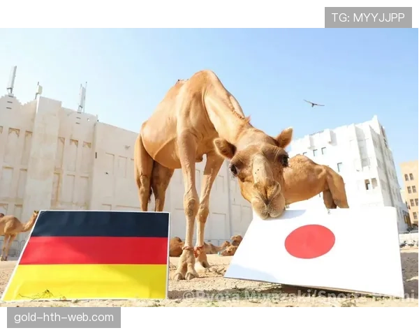 日本世界杯旅欧军团达到什么规模 日本世界杯旅欧军团达到什么规模
